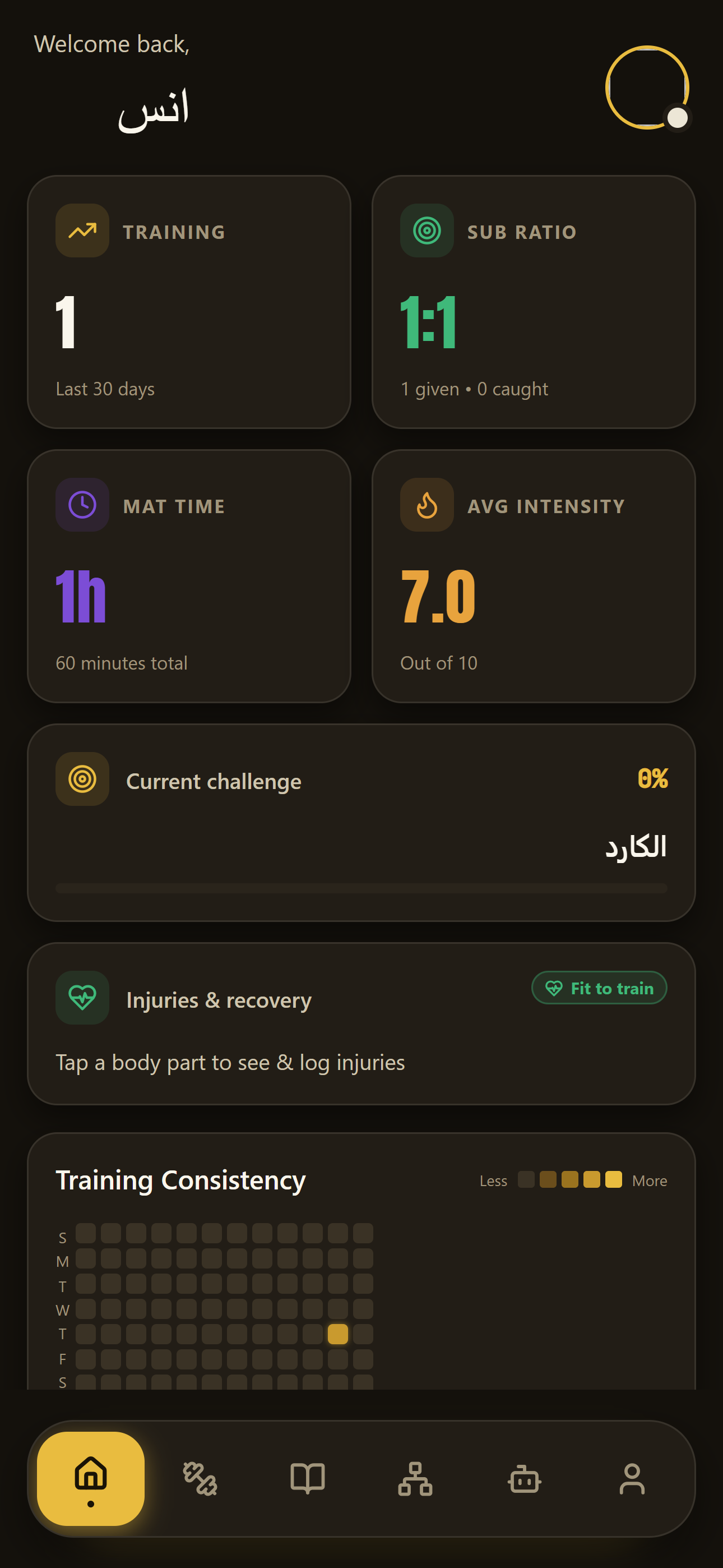 BJJ Lab dashboard with training stats
