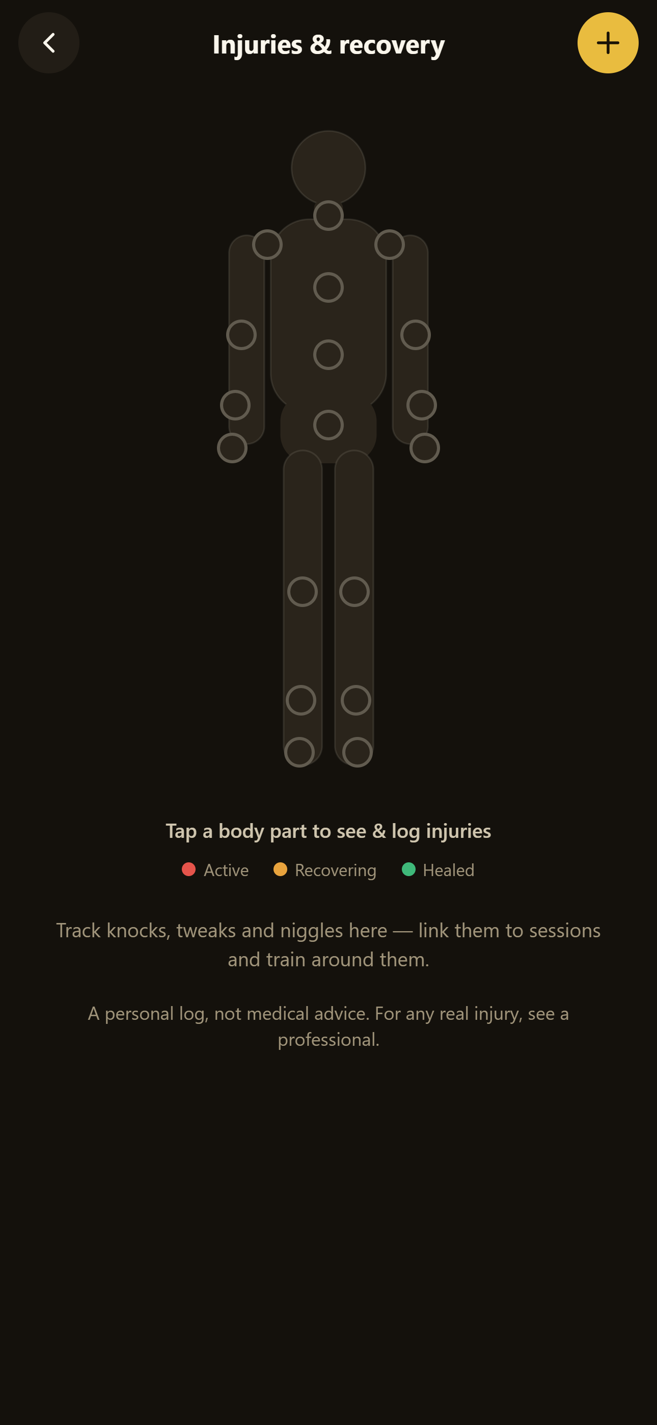BJJ Lab injury body map